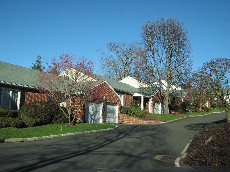 New Canaan Complexes